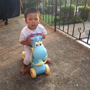 Meet your Posher, Su su